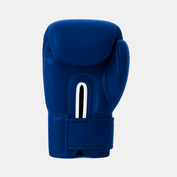 Champion Blue Gloves