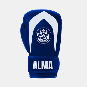 Champion Blue Gloves